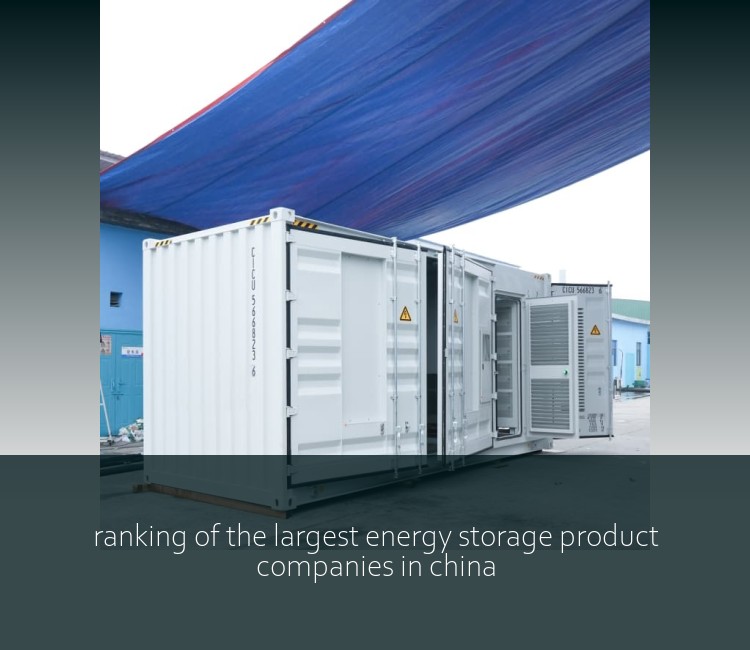 ranking of the largest energy storage product companies in china