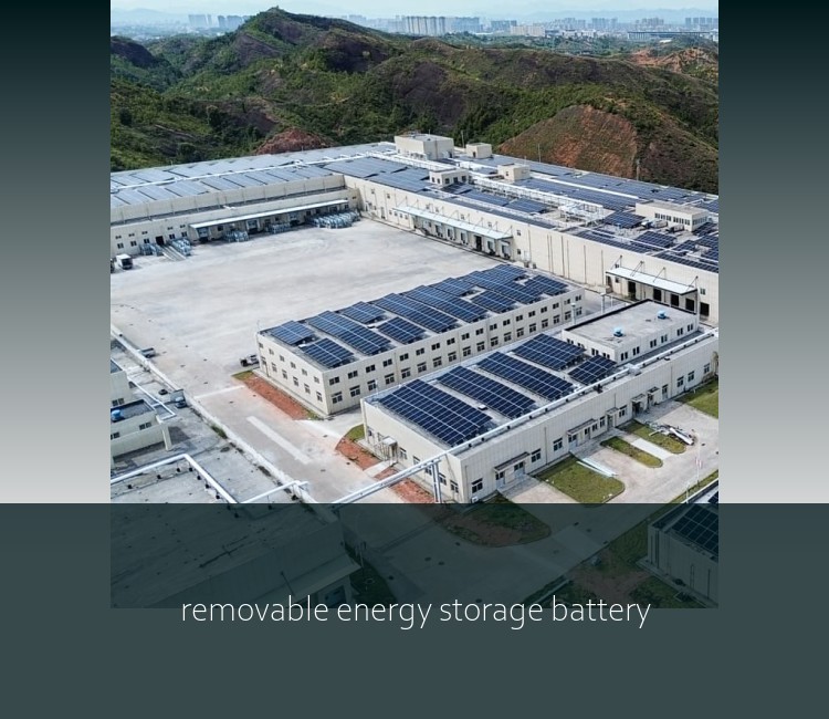 removable energy storage battery