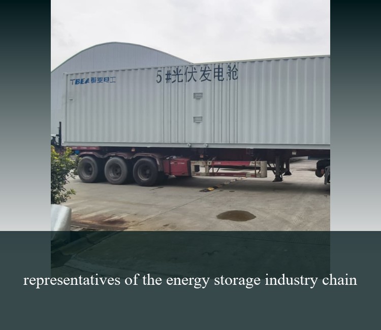 representatives of the energy storage industry chain