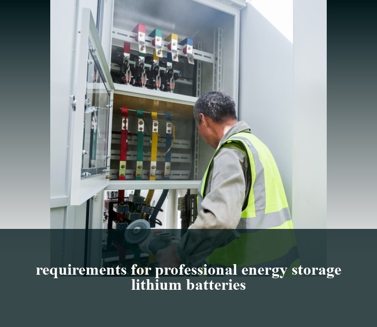 requirements for professional energy storage lithium batteries