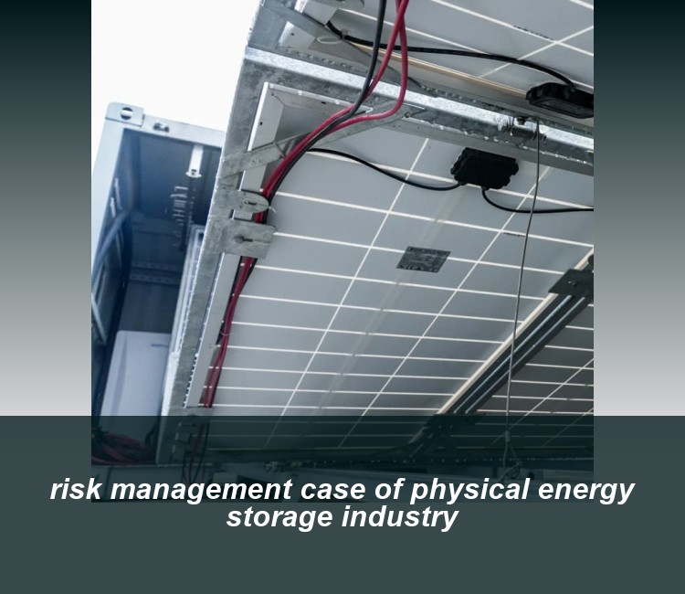 risk management case of physical energy storage industry