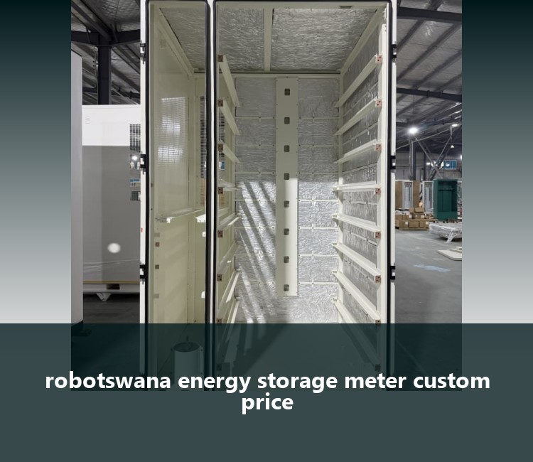 robotswana energy storage meter custom price