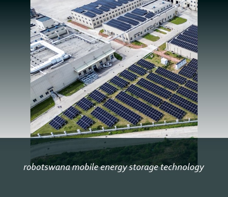 robotswana mobile energy storage technology