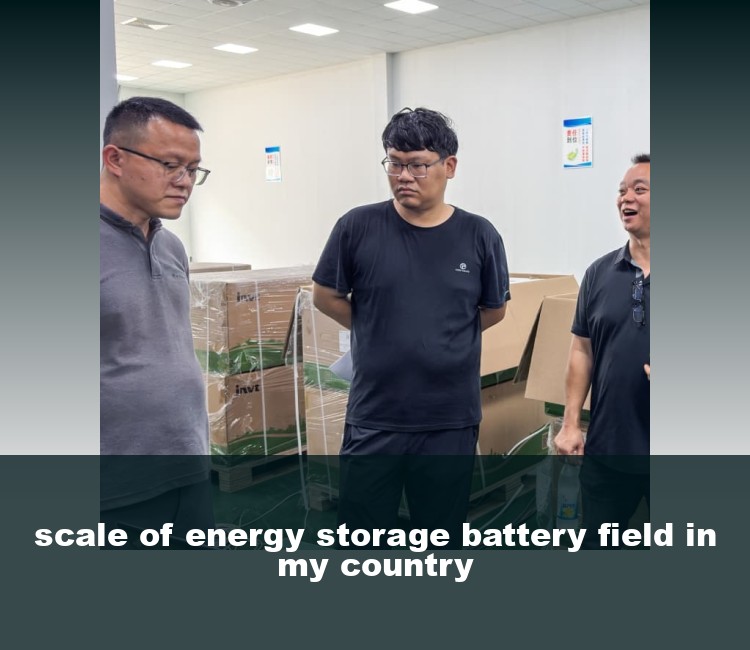 scale of energy storage battery field in my country
