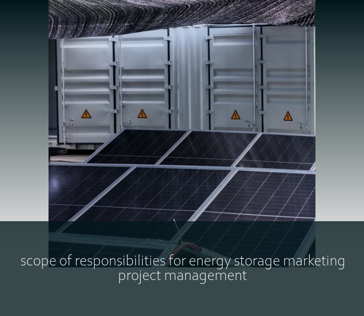 scope of responsibilities for energy storage marketing project management
