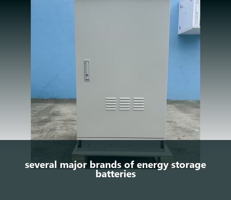 several major brands of energy storage batteries