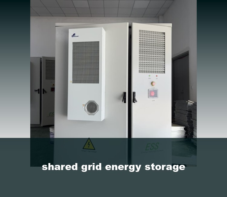 shared grid energy storage