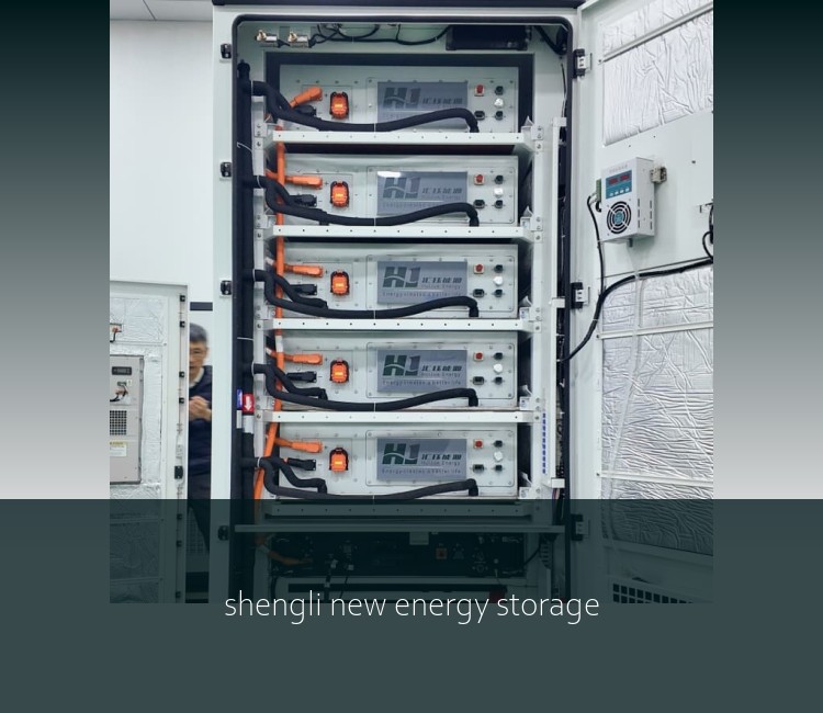 shengli new energy storage