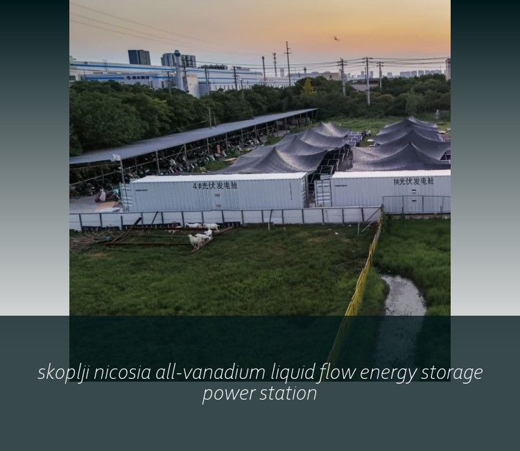 skoplji nicosia all-vanadium liquid flow energy storage power station