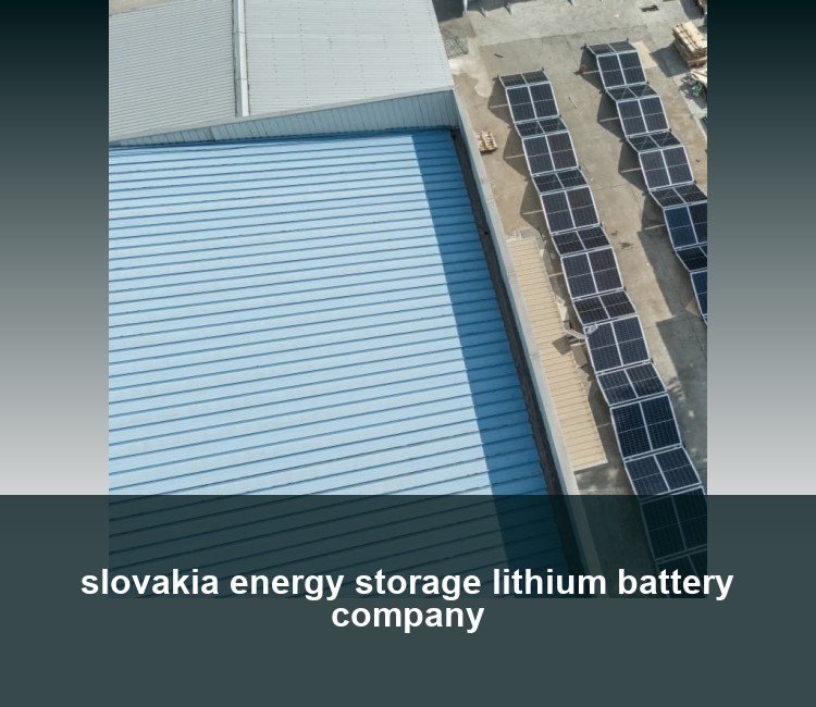 slovakia energy storage lithium battery company