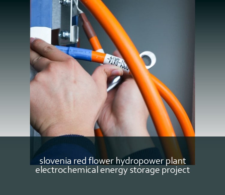slovenia red flower hydropower plant electrochemical energy storage project