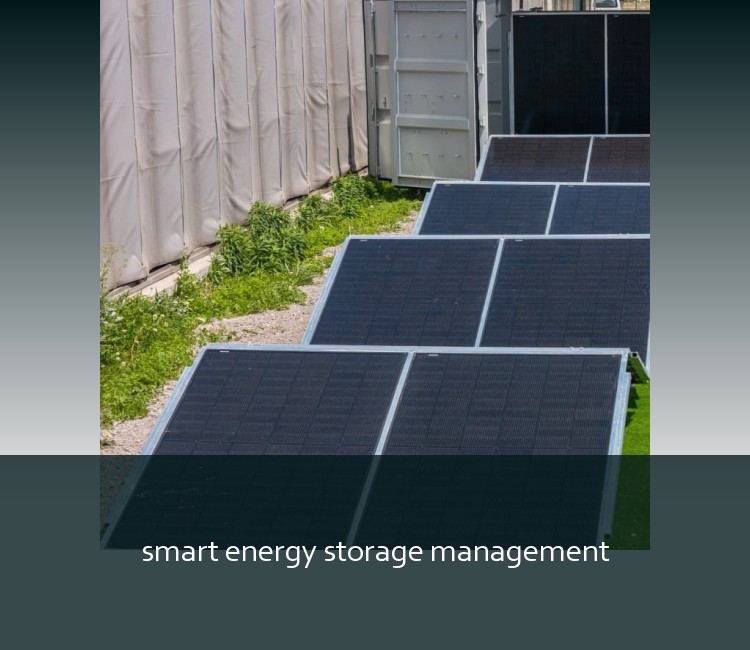 smart energy storage management