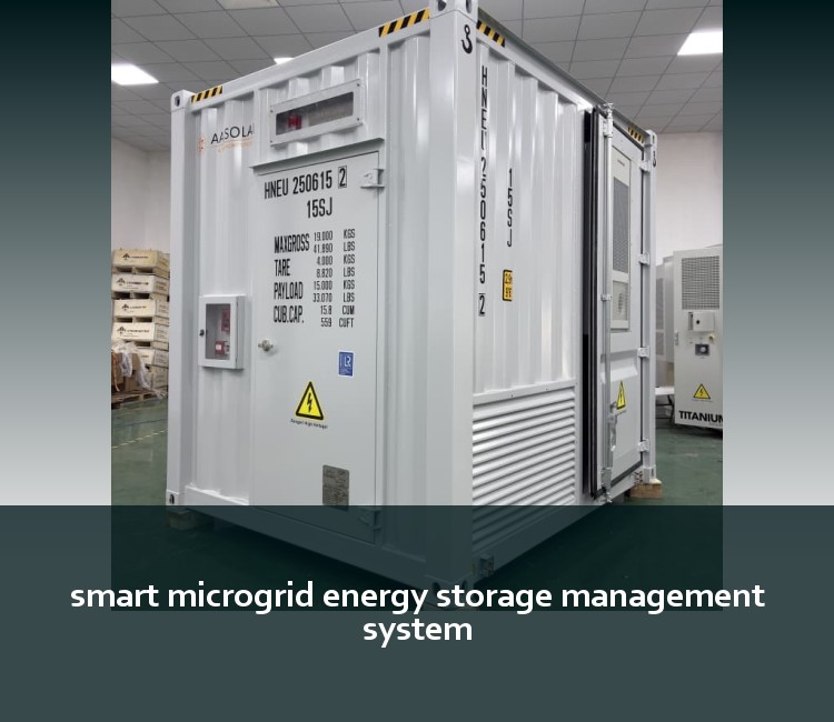 smart microgrid energy storage management system