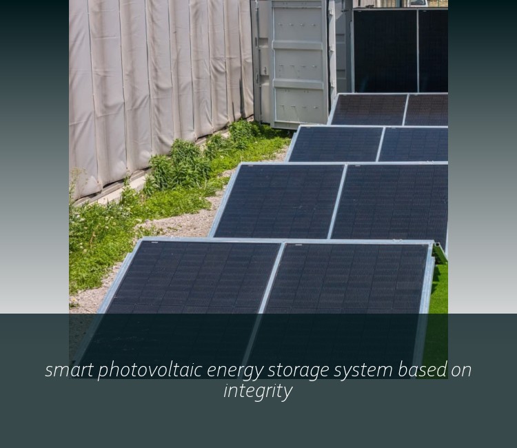 smart photovoltaic energy storage system based on integrity