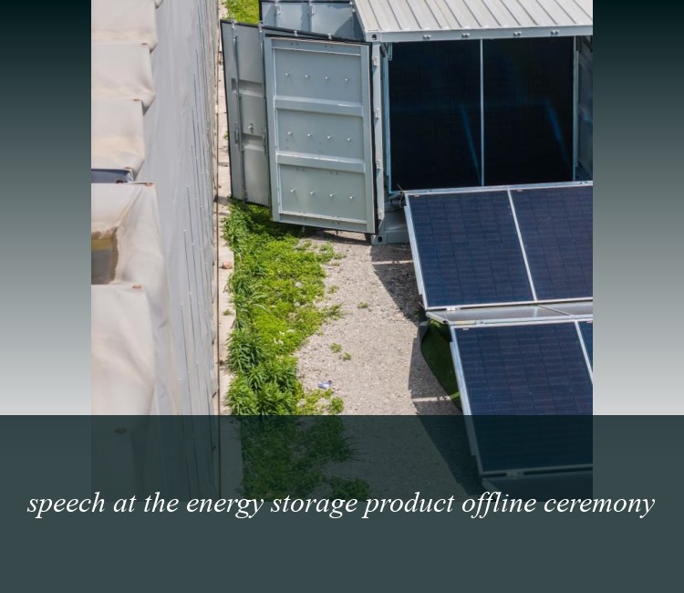 speech at the energy storage product offline ceremony