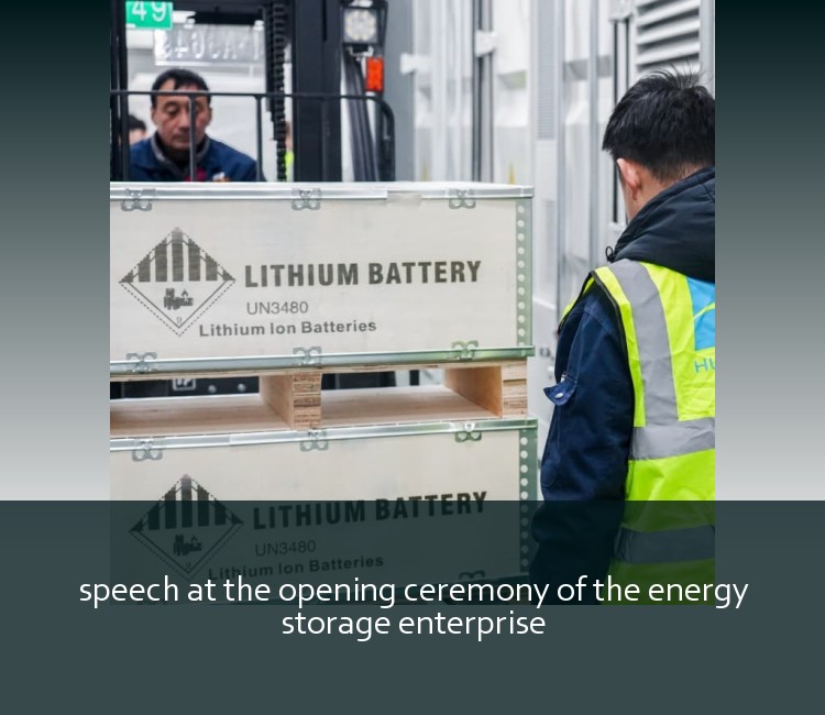 speech at the opening ceremony of the energy storage enterprise
