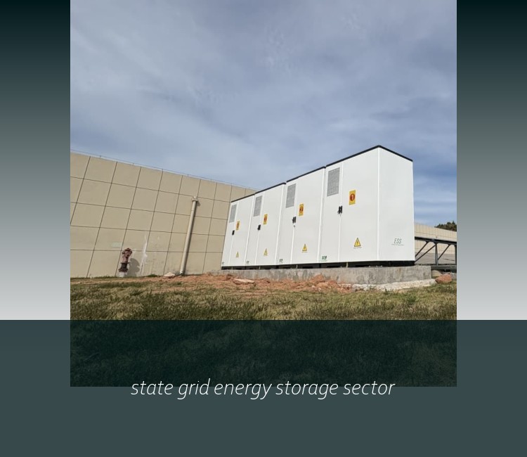 state grid energy storage sector