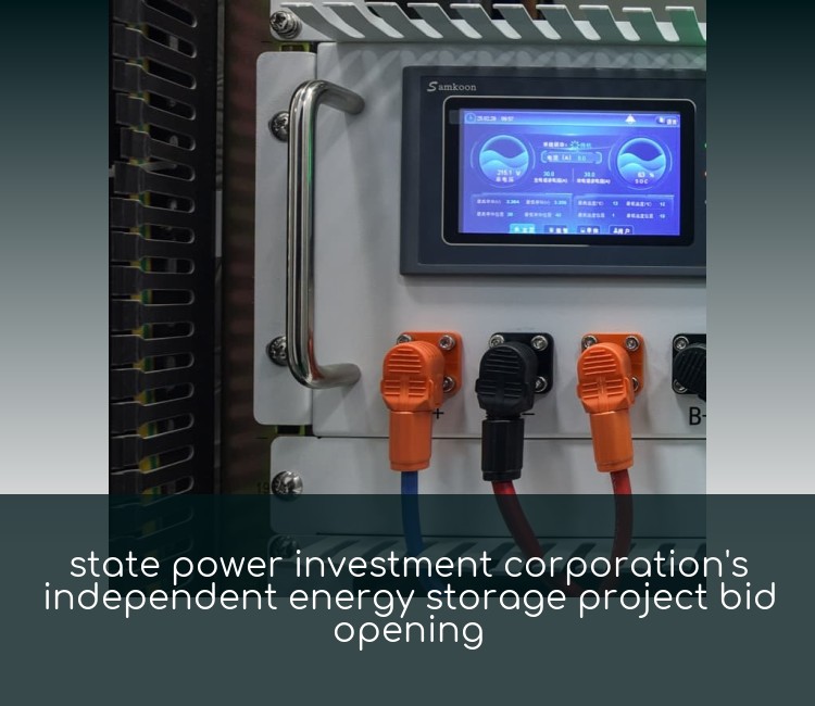 state power investment corporation's independent energy storage project bid opening