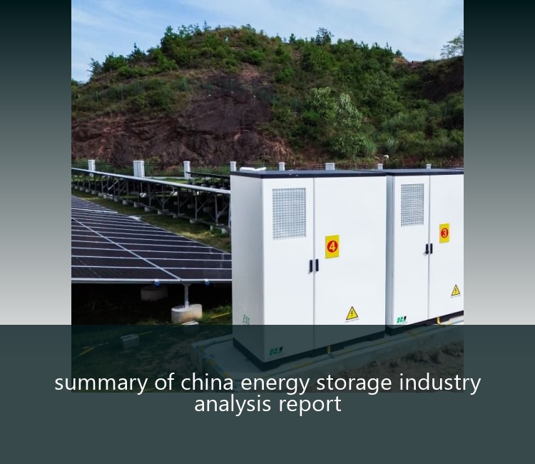 summary of china energy storage industry analysis report