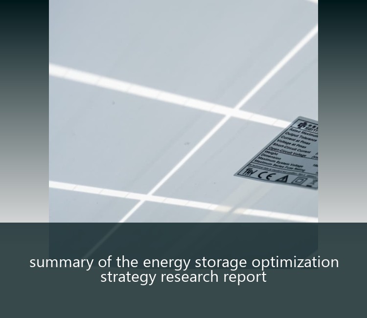 summary of the energy storage optimization strategy research report