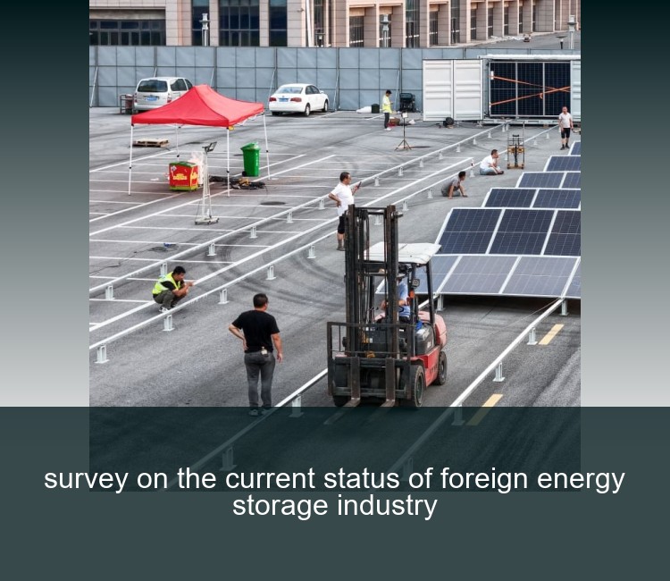survey on the current status of foreign energy storage industry