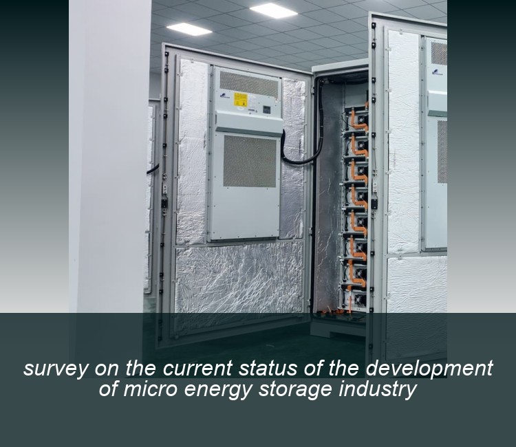 survey on the current status of the development of micro energy storage industry