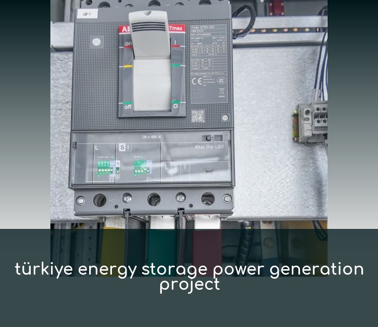 türkiye energy storage power generation project