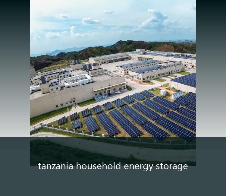 tanzania household energy storage