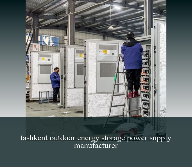 tashkent outdoor energy storage power supply manufacturer