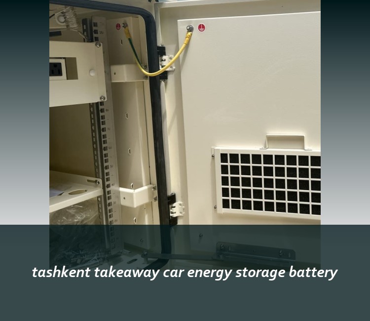 tashkent takeaway car energy storage battery