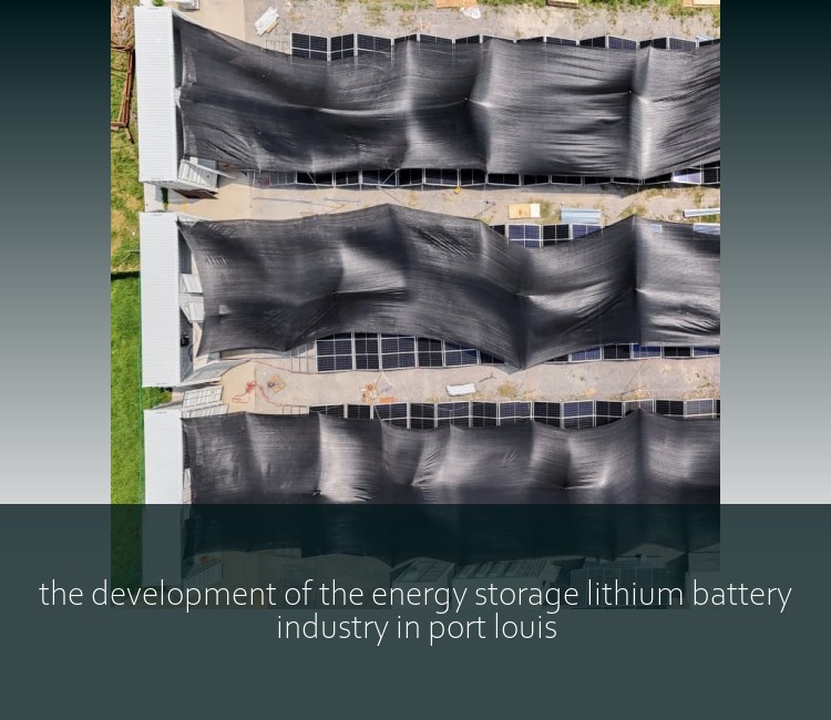 the development of the energy storage lithium battery industry in port louis