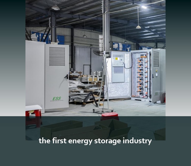 the first energy storage industry
