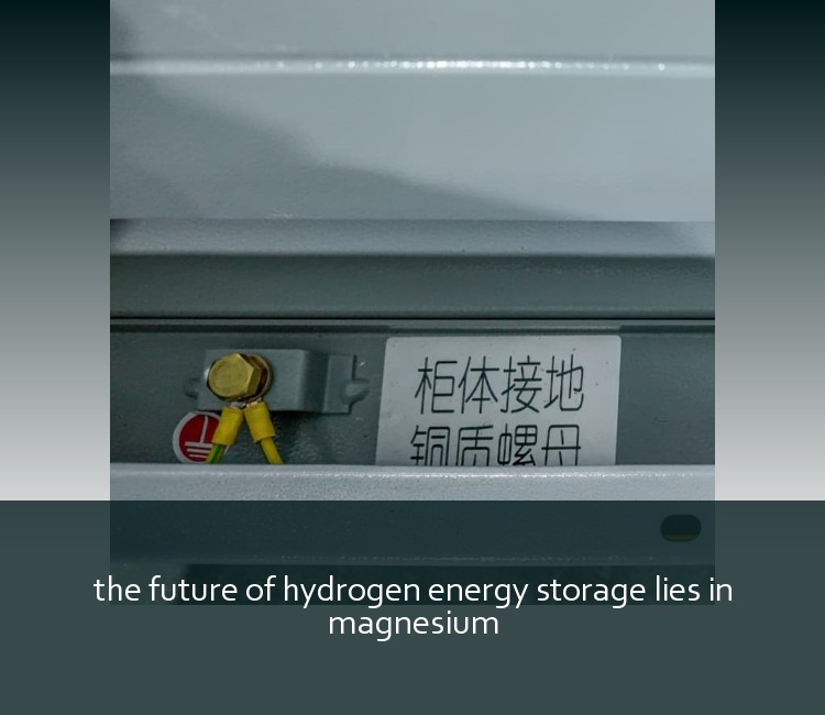 the future of hydrogen energy storage lies in magnesium