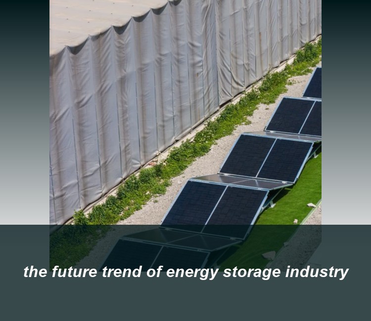 the future trend of energy storage industry