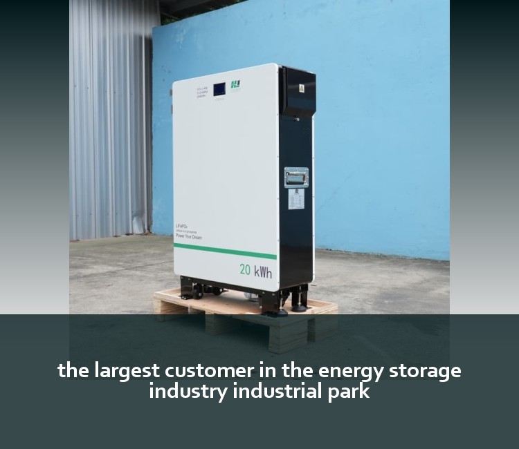the largest customer in the energy storage industry industrial park