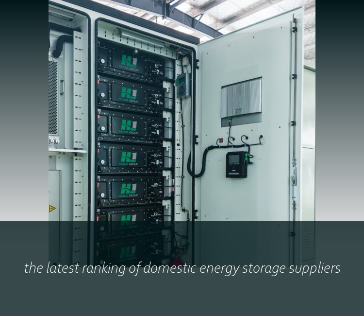 the latest ranking of domestic energy storage suppliers