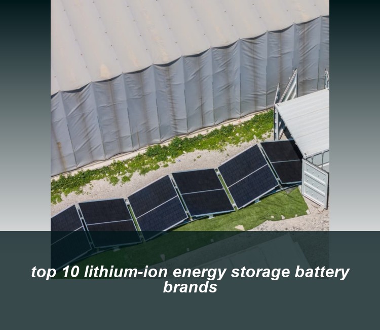 top 10 lithium-ion energy storage battery brands