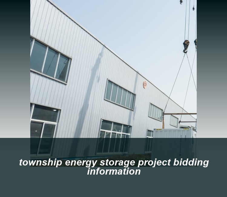 township energy storage project bidding information