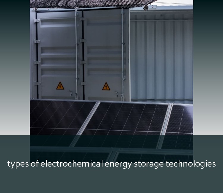 types of electrochemical energy storage technologies