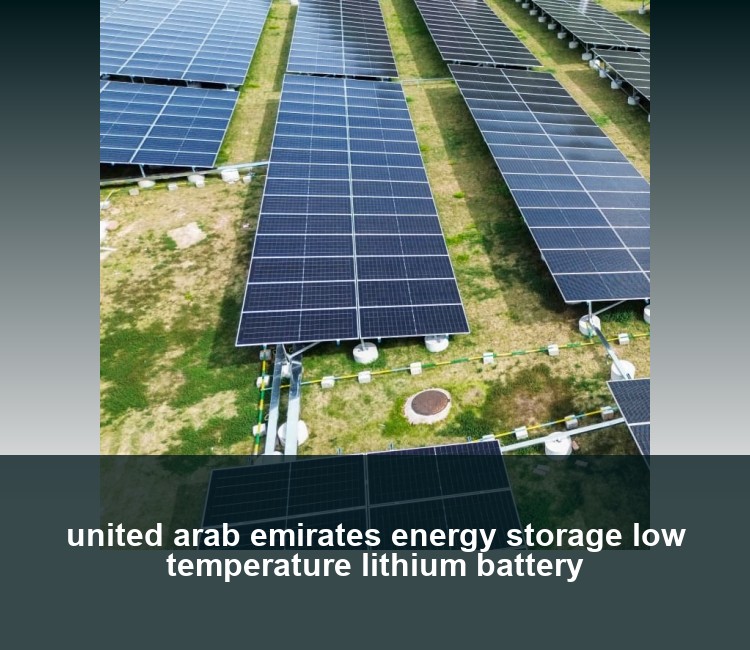 united arab emirates energy storage low temperature lithium battery