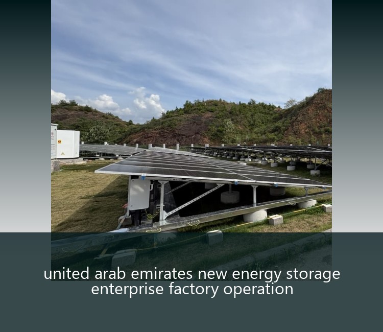 united arab emirates new energy storage enterprise factory operation