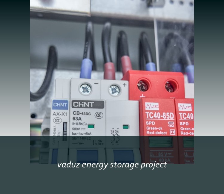 vaduz energy storage project