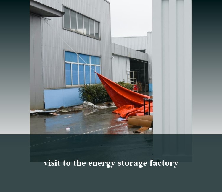 visit to the energy storage factory