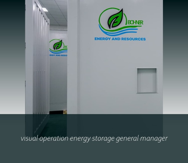 visual operation energy storage general manager