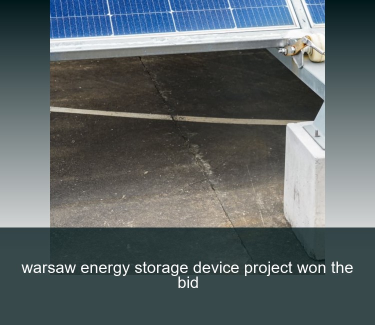 warsaw energy storage device project won the bid