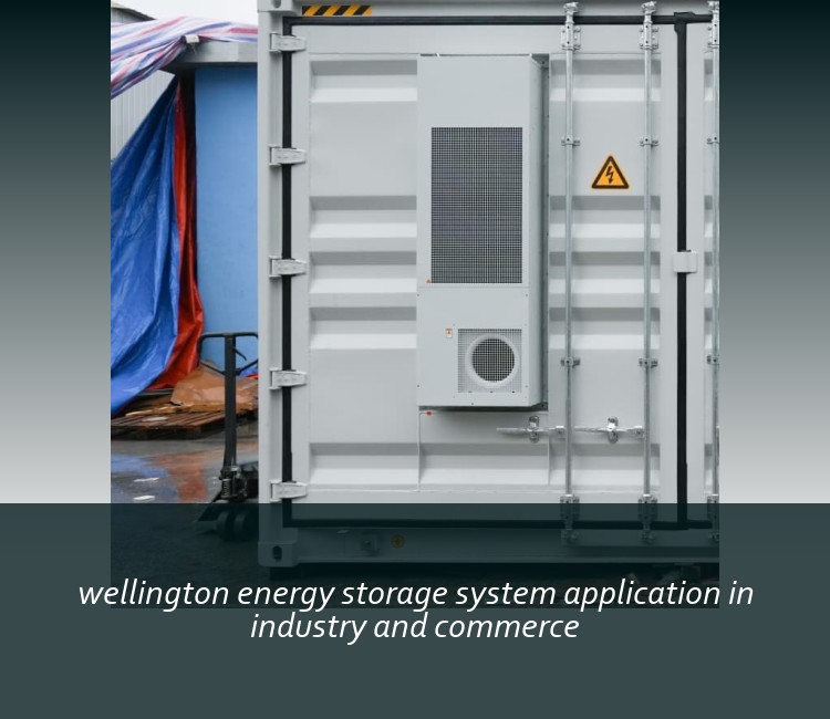 wellington energy storage system application in industry and commerce