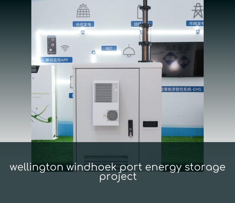 wellington windhoek port energy storage project