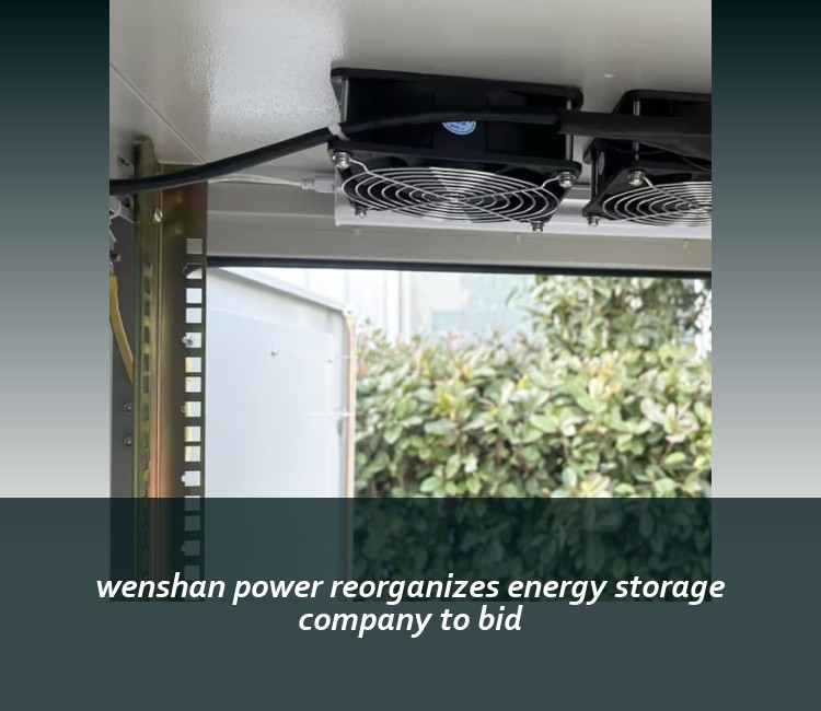 wenshan power reorganizes energy storage company to bid
