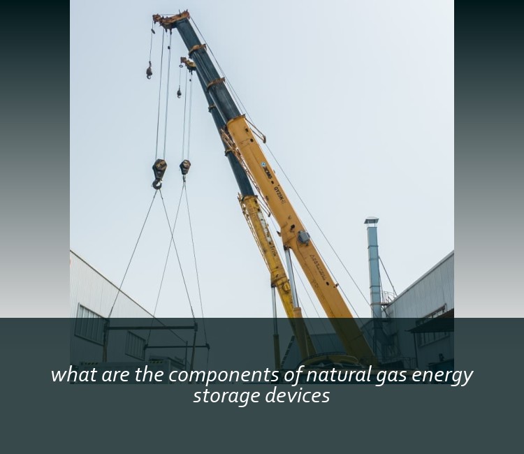 what are the components of natural gas energy storage devices