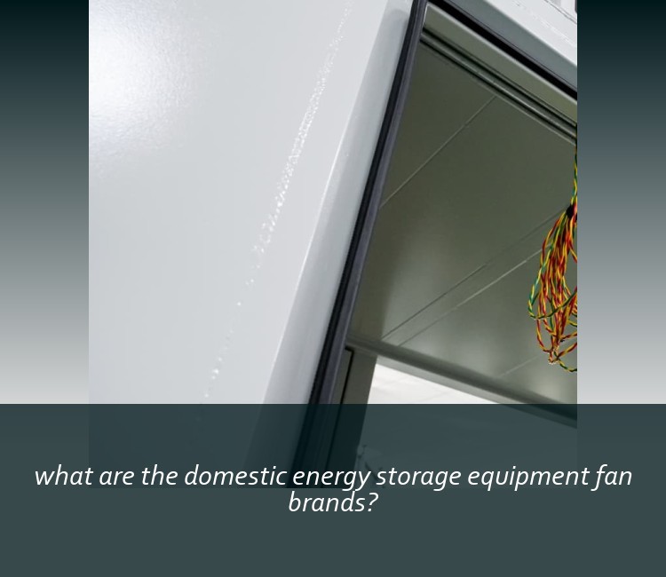 what are the domestic energy storage equipment fan brands?